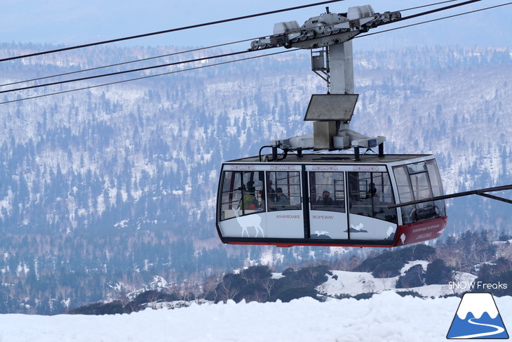 大雪山旭岳ロープウェイスキー場　カムイミンタラ『神々の遊ぶ庭』で春を楽しむ！